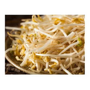 Brotes congelados de Frijol mungo para recetas de estilo asiático - Product Image 1