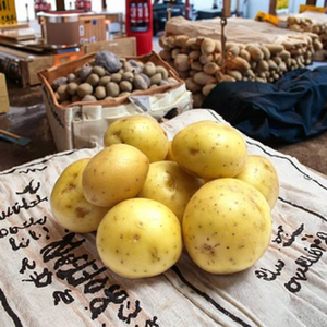 Patatas Orgánicas Frescas de Holanda, de Alta Calidad, para Almacenamiento a Granel, Listas para Consumir, Tamaño 200-300g, 100-200g, 6 Meses, Amarillas, Tailandia, 0.1 - Product Image 1