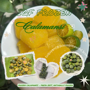Cubos de Calamansi Congelados IQF de Vietnam para Bebidas y Procesamiento de Alimentos, Disponibles en Envases a Granel o Envasados al Vacío, Calamansi, Kalamondin - Product Image 3