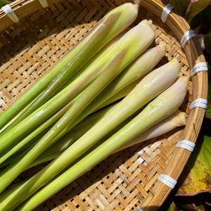 ตะไคร้แช่แข็ง IQF ตะไคร้ซอย/ตะไคร้สับสำหรับการส่งออกผักแช่แข็งผู้ผลิตจากเวียดนาม/นางสาว Selina - Product Image 1