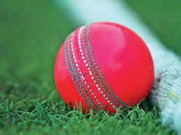 Balle de cricket en caoutchouc dur de qualité supérieure, emballage personnalisé, couleurs du logo, vente en gros, qualité professionnelle - Product Image 4