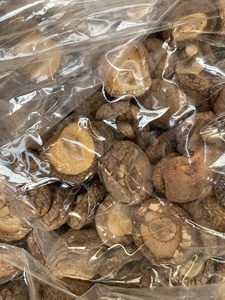 Proveedor de Hongos Shiitake Secos |   Exportación a Granel de Vietnam - Product Image 5