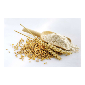 Grain de blé de mouture de haute qualité Blé dur Grain de blé dur Prix le plus bas Fournisseur de tendres naturels en vrac avec livraison rapide - Product Image 2