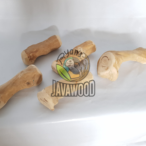 La meilleure qualité de bâtonnets à mâcher en bois naturel sains et sûrs pour les chiens indonésiens au meilleur prix - Product Image 3