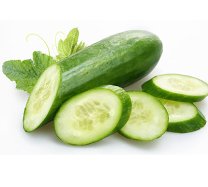 fresh organic cucumber for making salads in 2kg - 25kg packaging