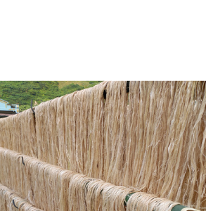 ใยกล้วยแห้งซับน้ำได้รูปแบบดิบ - Product Image 4