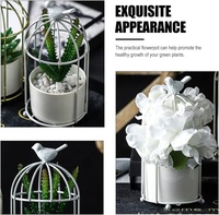 Jardinière chic en fer émaillé personnalisable en forme de cage à oiseaux, logo personnalisé, style moderne et épuré, 9x20cm, pour exposition de plantes, décoration intérieure et jardin