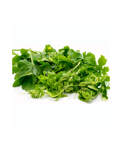 FEUILLES DE MELON AMER CONGELÉES INGRÉDIENT NATUREL PUR POUR UN STYLE DE VIE SAIN PRODUIT D'ÉTIQUETTE PROPRE - Product Image 1