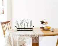 Support en métal émaillé avec vase en verre de terrarium de bureau fleurs de plantes hydroponiques pour stations de décoration de jardin de bureau à domicile
