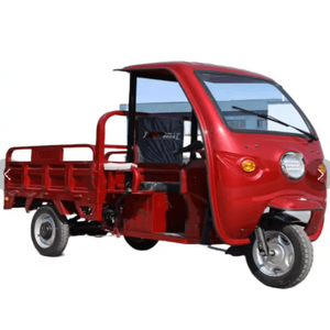 Triciclo Eléctrico de 3 Ruedas Tipo Tuk Tuk Bajaj TVS King con Cabina Cerrada para Pasajeros, 200-250W 60V - Product Image 5