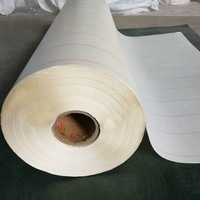 Papier d'isolation composite NMN (Classe H 180C 15kV) pour l'isolation électrique des transformateurs de moteur
