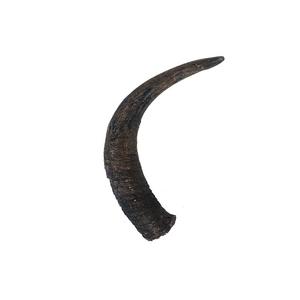 100% Natural Buffalo Horn Pet Chew Healthy <b>Protein</b>-Rich Dog Treat for Oral Hygiene, Long-Lasting Grain-Free Chew For Dog - Product Image 3