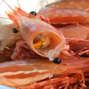 เปลือกกุ้งอบแห้งราคาถูกจากเวียดนาม | ตัวเลือกที่ดีที่สุดสำหรับคุณ - Product Image 4