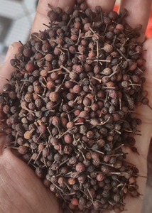 พริกไทยดำมาดากัสการ์เกรดพรีเมียมแบบแห้งธรรมชาติ ยี่ห้อวายแอล วอยท์ โวต์ซิเพอร์ริเฟอร์รี วานิลล์ ฮาร์เวสท์ 24 ชนิด สมุนไพรและเครื่องเทศ - Product Image 3
