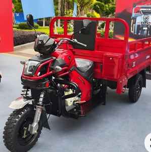 Tricycle électrique à 3 roues Zongshen, économique, pour le transport de marchandises, carrosserie ouverte - Product Image 1