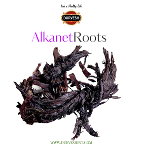 Racines d'Alkanet Séchées de Qualité A1, Ratanjot Alkanna, Huiles Naturelles pour Rouge à Lèvres, Savons, Épices Simples, Herbes, Transformées par FD, 25kg - Product Image 5