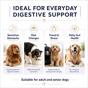 Poudre <span class=keywords><strong>Probiotique</strong></span> en Gros pour Chiens – Sachets Marque Blanche – 2,5 Milliards d'UFC Probiotiques et Prébiotiques <span class=keywords><strong>Inuline</strong></span> pour le Soutien Digestif des Animaux de Compagnie - Product Image 3