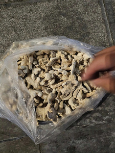 ขิงสด/ขิงแห้งแบบบริสุทธิ์จากเวียดนาม - Product Image 2