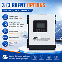 MPPT Solar-Laderegler 30A 60A 120A 230V PV-Eingang 12V-96V Batterie LCD-Display Tastensteuerung OEM ODM Lieferung
