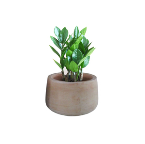 Maceta de terracota natural de alta calidad con forma de maceta, maceta de cerámica para jardín, suministros para el hogar, uso en vivero, macetas de suelo - Product Image 2