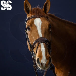 บังเหียนม้าแบบ Anatomic Flash Noseband สีน้ำตาล หนังคุณภาพสูง บุนุ่ม หัวเข็มขัดโลหะแข็งแรง สะดวกสบาย สวยงาม - Product Image 5