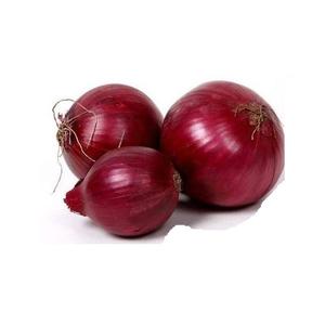 ต้นหอมสดสีแดง/เหลืองจำนวนมากราคาถูก - Product Image 1