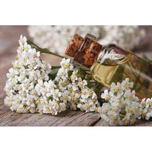 Aceite Esencial Puro de Yarrow Azul de Grado Terapéutico, Prensado en Frío para Hidratar, Mejorar el Busto y Nutrir el Cuerpo - Product Image 1