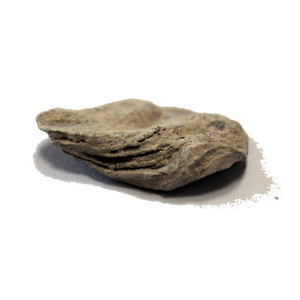 Concha de Ostra Calcinada Premium |   Ingrediente Marino Natural para Sopas y Guisos - Product Image 2