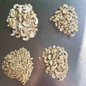 Noix de cajou crues biologiques du fabricant fiable LP/SP/WP du Vietnam Meilleur prix et haute qualité Mme Ruby + 84 359318390 - Product Image 6