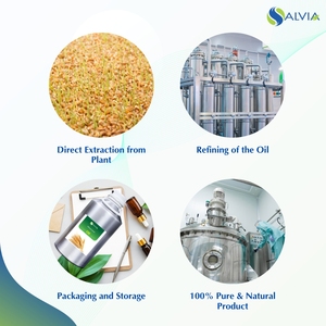 น้ำมันจมูกข้าวสาลีบริสุทธิ์ 100% ขายส่งจำนวนมาก รับผลิตแบบ OEM/ODM บรรจุภัณฑ์ตามสั่ง ราคาถูก น้ำมันหอมระเหยเพื่อสุขภาพ - Product Image 4