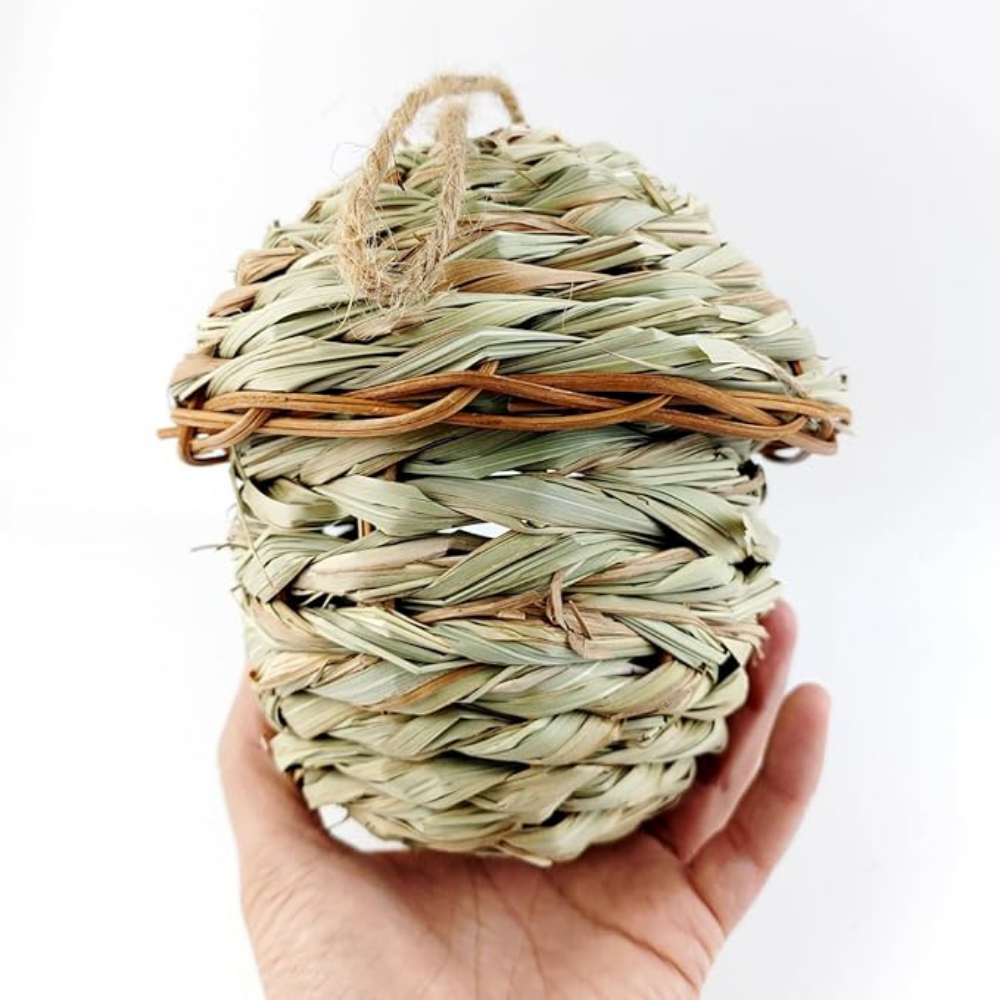 ธรรมชาติ