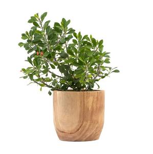 100% jardinières en bois naturel utilisation de jardinière extérieure et intérieure pour la décoration de la maison et de l'hôtel avec support en métal - Product Image 3