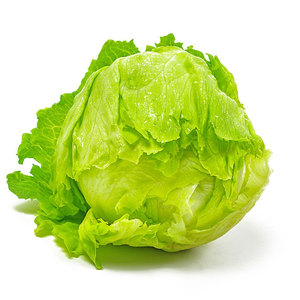 Lechugas Verduras para ensaladas, sopas, sándwiches, envolturas y parrilla: Los proveedores mayoristas y a granel más vendidos - Product Image 1