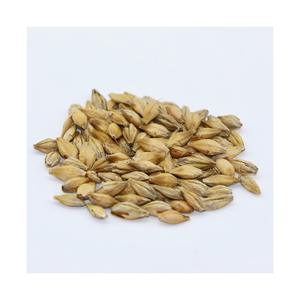 Suministro al por mayor de grano de cebada a precios económicos directos de fábrica - Product Image 2