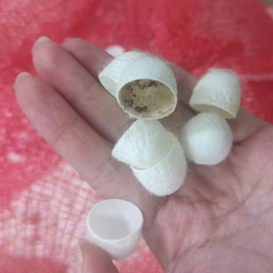 Cocon de soie pure du Vietnam, haute qualité, nettoyage beauté, emballage en vrac - Product Image 1