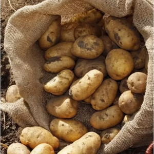 Sacos de Yute Natural 100x60 cm 260 gsm Resistentes, Transpirables y Ecológicos para Empaque Agrícola, Impresión Personalizada Disponible - Product Image 2