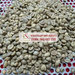 Robusta 커피 콩 18 청소 녹색 커피 콩 제품 베트남 제르 미 0084 363 017 270