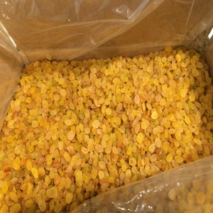 Hot Sale Wholesale Bulk Organic Sweet AD Dried Golden Raisins with Oil <b>Preservation</b>-High Quality Dried <b>Fruits</b> - Product Image 1