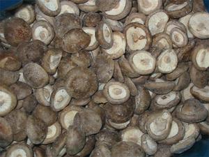Champignons shiitake bio les plus vendus champignons séchés Vietnam - Product Image 3