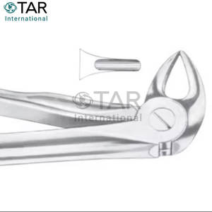 มะเดื่อ33L คีมถอนฟันขนาดต่างๆขายส่งราคาจำนวนมาก - Product Image 2