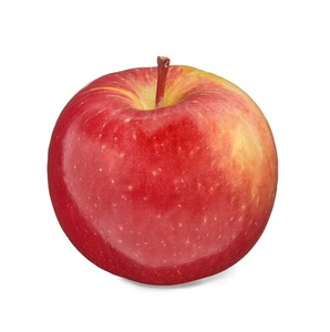 ผู้ผลิตขายตรงแอปเปิ้ลแดงฟูจิสดจากจีน - Product Image 6