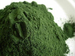 สาหร่ายสีเขียวผงสาหร่ายสีเขียวจากเวียดนาม - Product Image 2