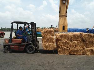 NATURAL VIETNAM COCONUT COIR <b>FIBER</b> HIGH QUALITY for SALES - BEST PRICE COCOFIBER - Product Image 2