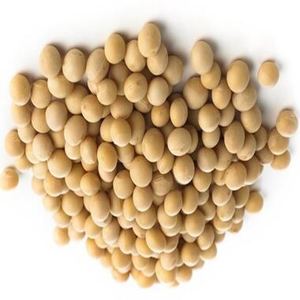 ถั่วเหลือง ความชื้นสูงสุด 12% โปรตีนสูงสุด 2% โปรตีนต่ำสุด 34% - Product Image 2