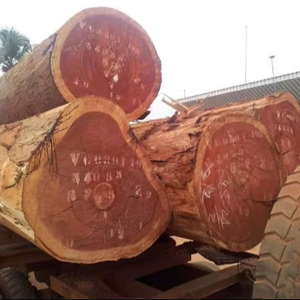 Troncos Merbau Premium (Intsia bijuga) - Product Image 1