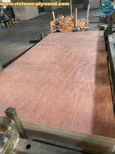 Contrachapado Bintangor 15mm para muebles proveedor directo de Vietnam Fabricant de contreplaqué Fournisseur fabrica de contreplaqué - Product Image 2