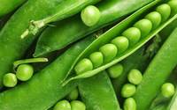 Petits pois verts naturels 400g, conservés dans l'eau, saveur salée, prêts à consommer, fabriqués en Italie, légumes en conserve La Italiana