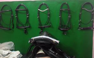 Bridas de caballo de la mejor calidad, equipo de equitación hecho a mano con precio competitivo, hecho de cuero de vaca genuino, juego de tachuelas - Product Image 6