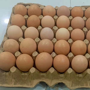 Fresh Brown Table <b>Eggs</b> /Chicken <b>Eggs</b>, Sell At Best Rate Farm Fresh Chicken Table Brown <b>Eggs</b> - Product Image 1