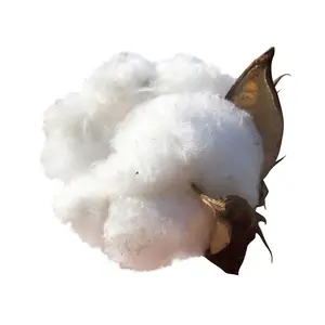 Good prices loose cotton pulp cellulose raw material manufacturer price cellulose cotton